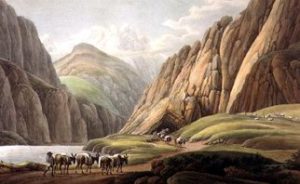 bucaduri