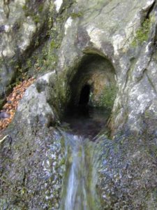 veduta-grutli-schwyzerdutsch-rutli2